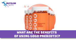 Gogo Prebiotic